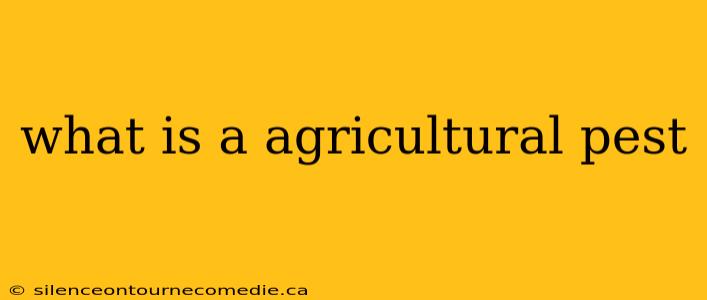 what is a agricultural pest