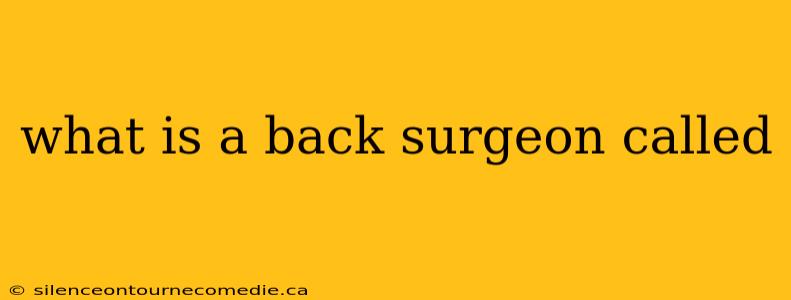 what is a back surgeon called