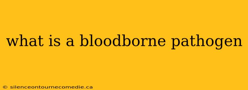 what is a bloodborne pathogen