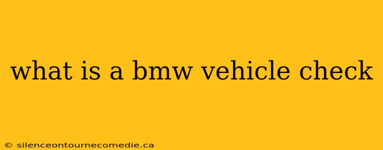 what is a bmw vehicle check