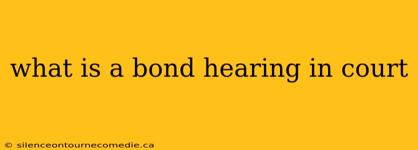 what is a bond hearing in court