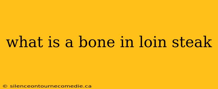 what is a bone in loin steak