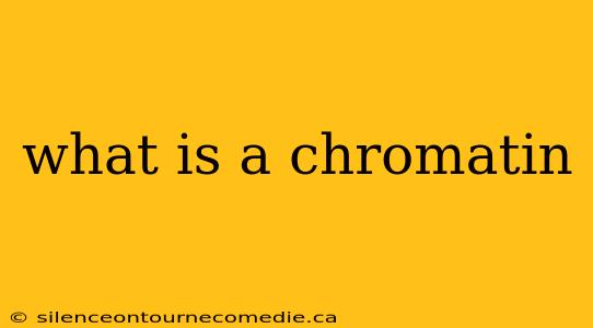 what is a chromatin