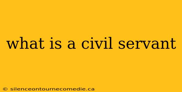 what is a civil servant