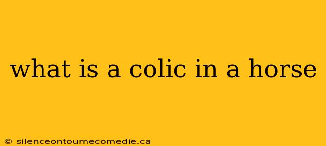 what is a colic in a horse