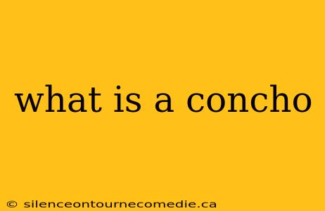 what is a concho
