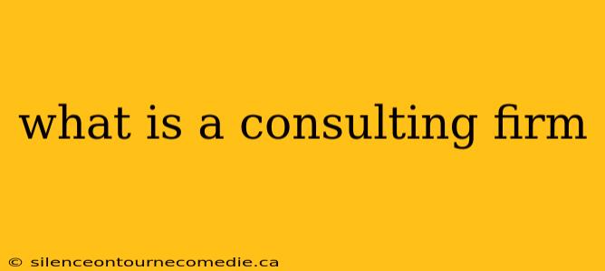what is a consulting firm