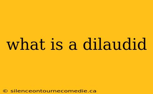 what is a dilaudid