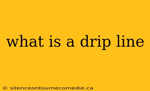 what is a drip line