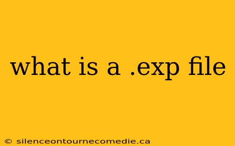 what is a .exp file