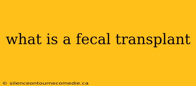 what is a fecal transplant