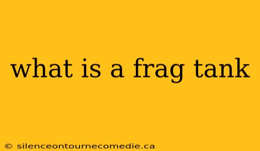 what is a frag tank