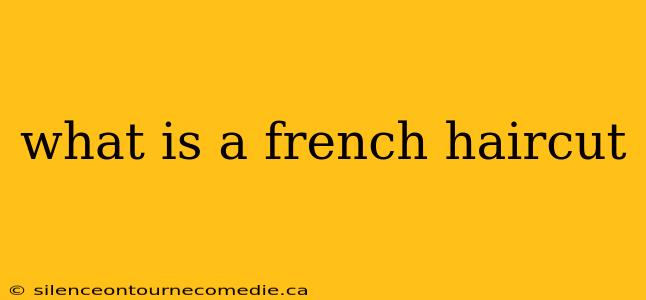 what is a french haircut