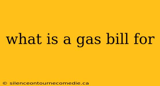 what is a gas bill for