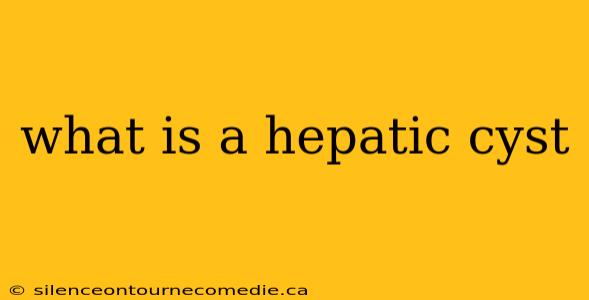 what is a hepatic cyst