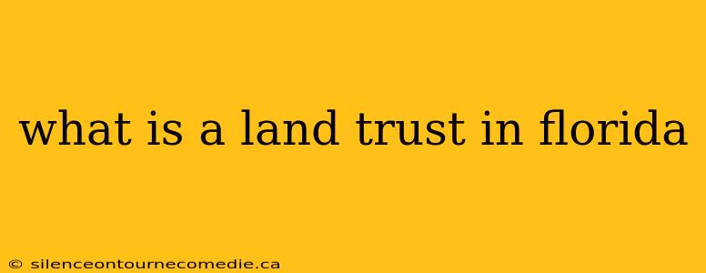 what is a land trust in florida