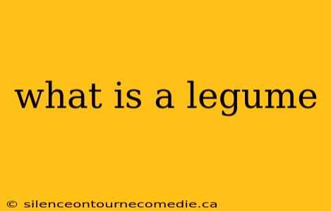 what is a legume