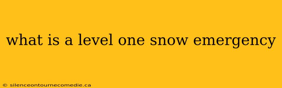 what is a level one snow emergency