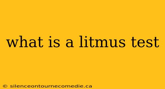 what is a litmus test