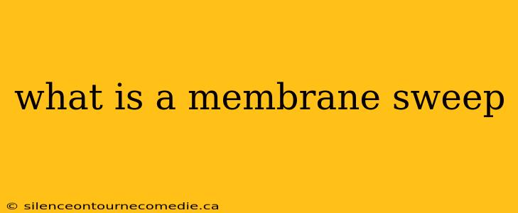 what is a membrane sweep