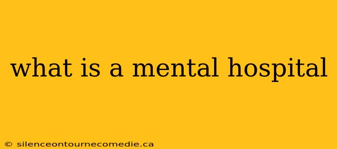 what is a mental hospital