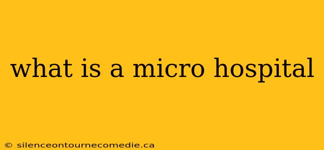 what is a micro hospital