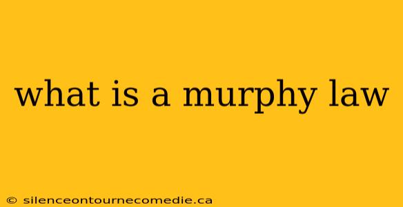 what is a murphy law