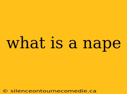 what is a nape