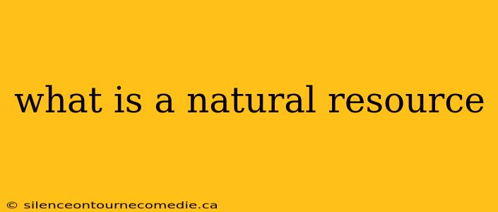what is a natural resource