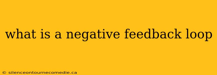 what is a negative feedback loop