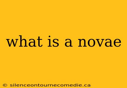 what is a novae