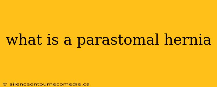 what is a parastomal hernia