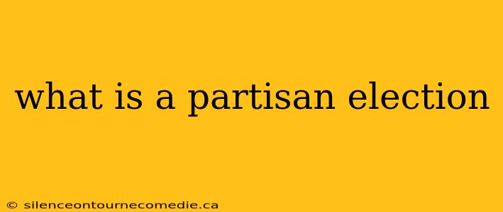 what is a partisan election