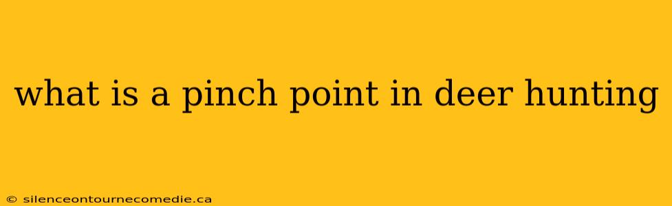 what is a pinch point in deer hunting