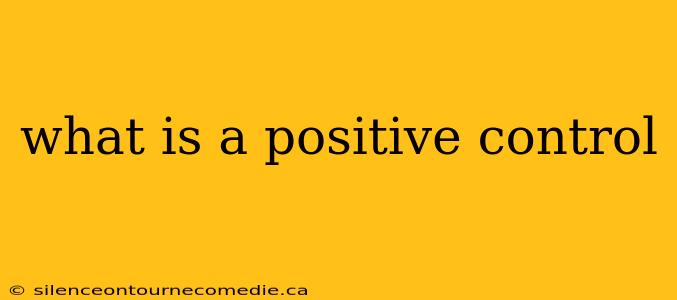 what is a positive control