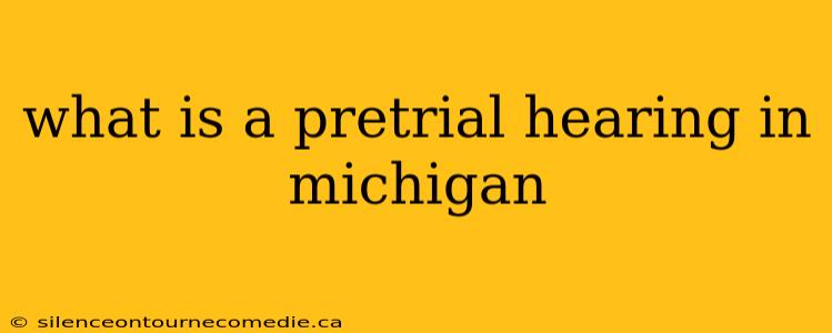 what is a pretrial hearing in michigan