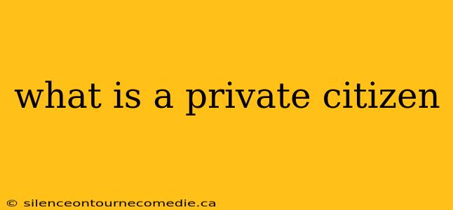 what is a private citizen