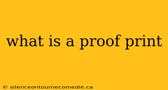 what is a proof print