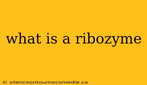 what is a ribozyme