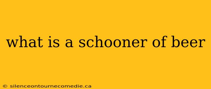 what is a schooner of beer