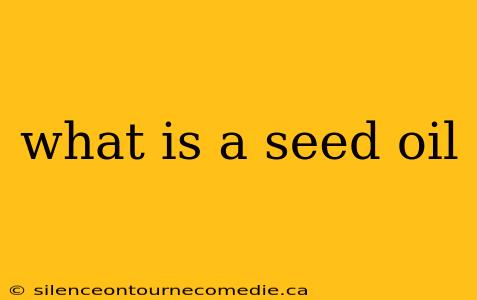 what is a seed oil