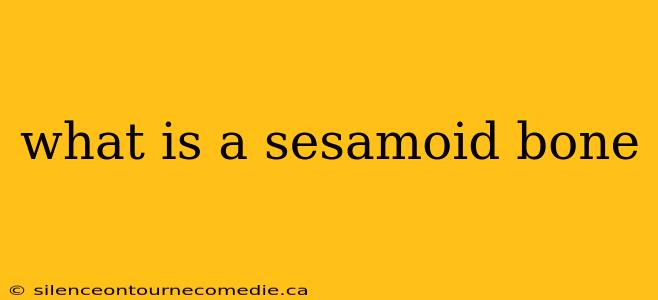 what is a sesamoid bone