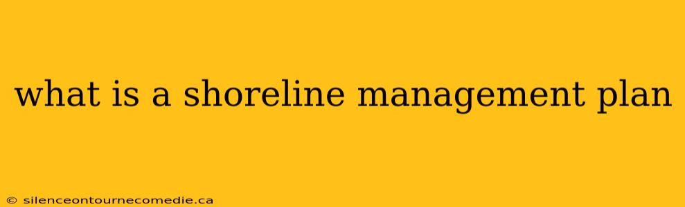 what is a shoreline management plan