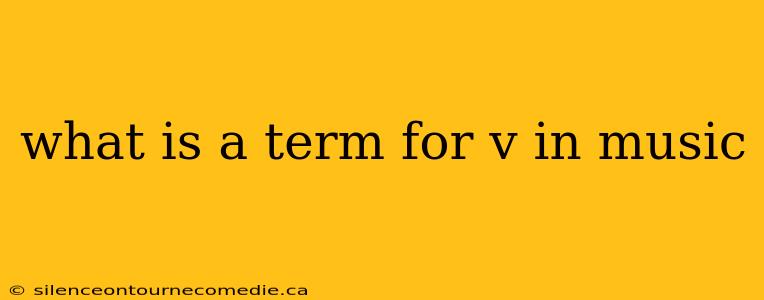 what is a term for v in music