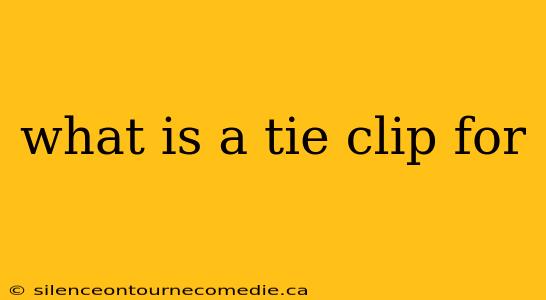 what is a tie clip for