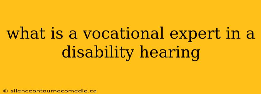 what is a vocational expert in a disability hearing