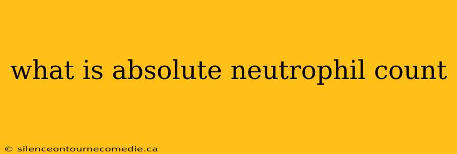 what is absolute neutrophil count