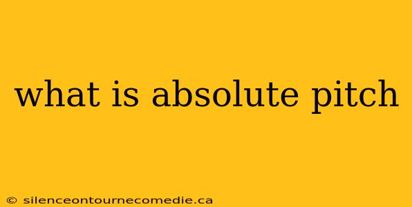 what is absolute pitch