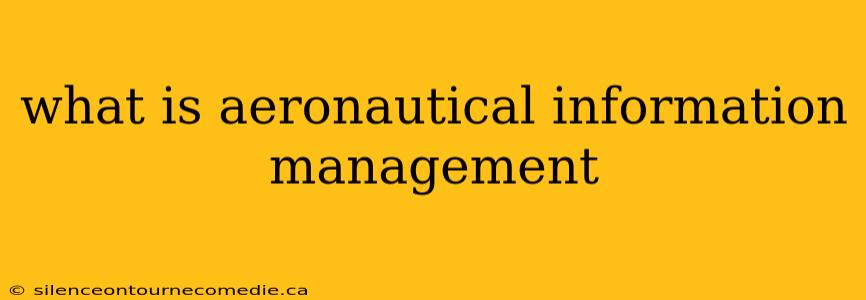 what is aeronautical information management