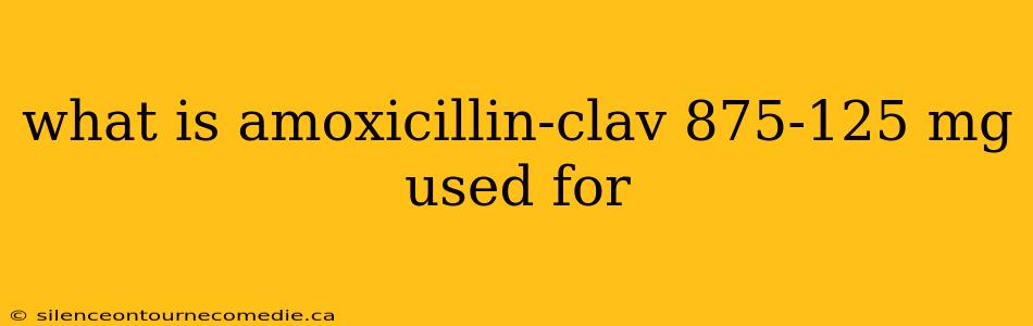 what is amoxicillin-clav 875-125 mg used for